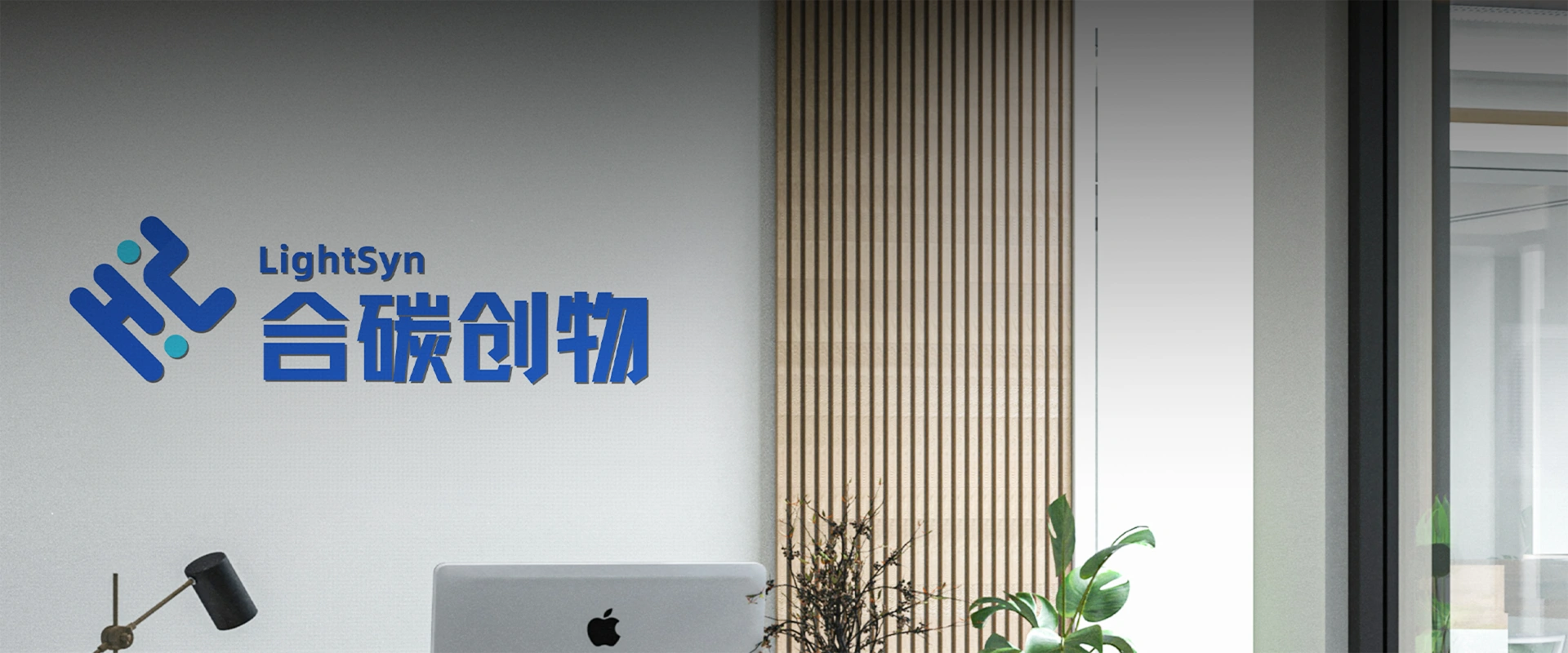 Política de privacidad — cabecera