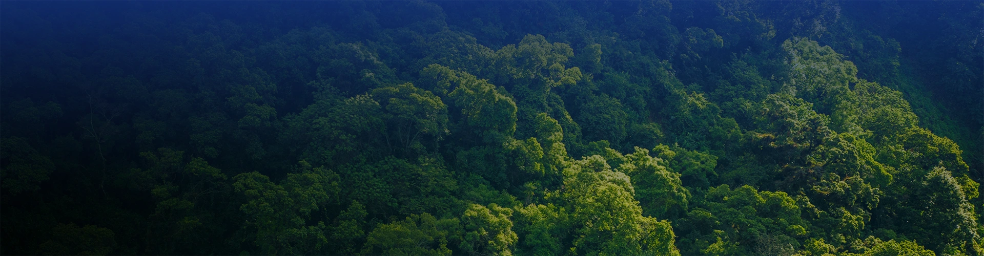 Sostenibilidad — cabecera